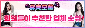 유흥모음 - 야동25